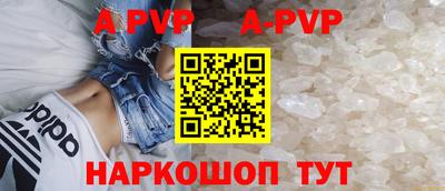 прущие крисы Кингисепп