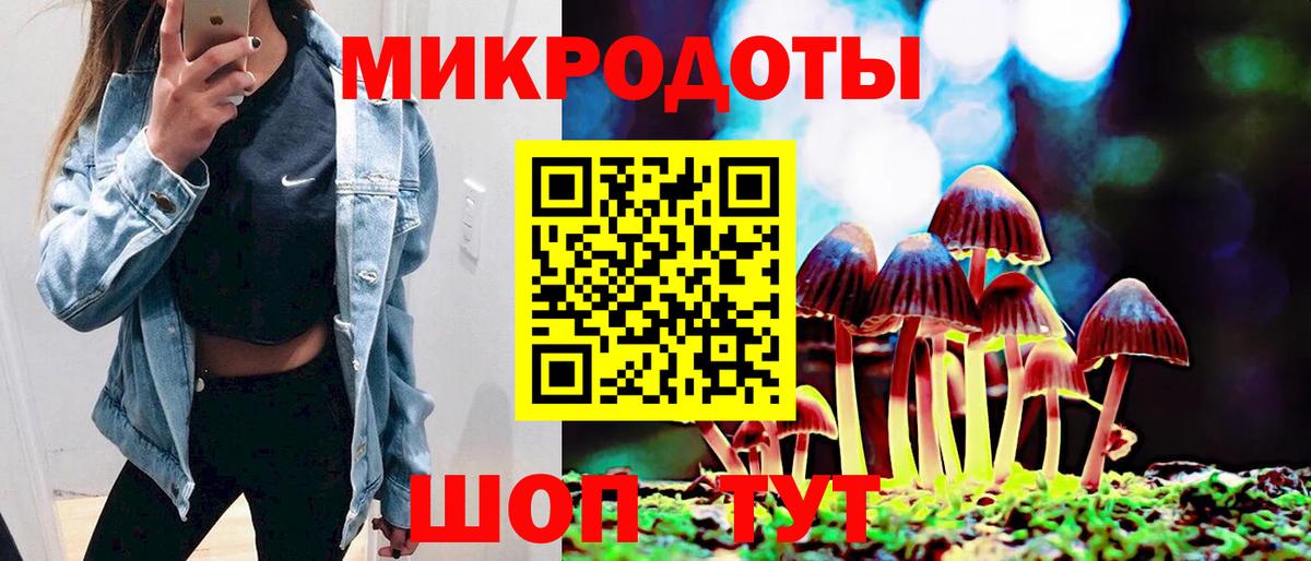 Псилоцибиновые грибы Cubensis Саянск
