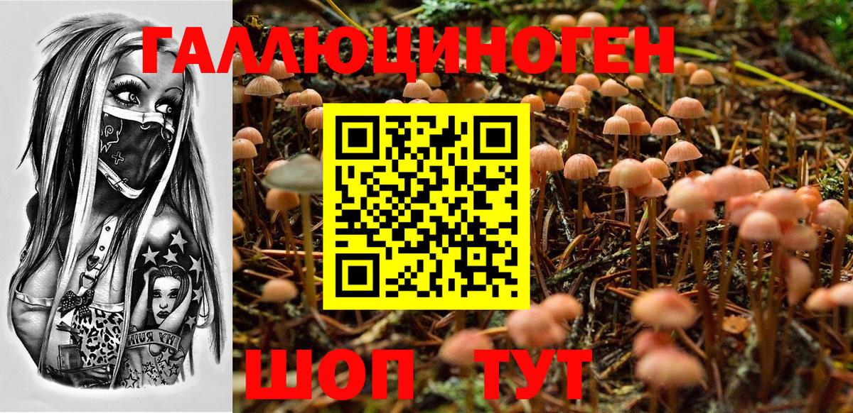 Галлюциногенные грибы ЛСД  Вход с VPN  Псилоцибиновые грибы MAGIC MUSHROOMS  Саянск 